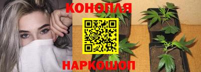 амф Коммунар